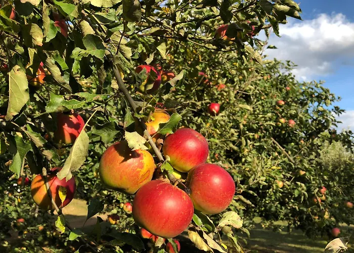 Lodge Gaestehaus Maasberg *